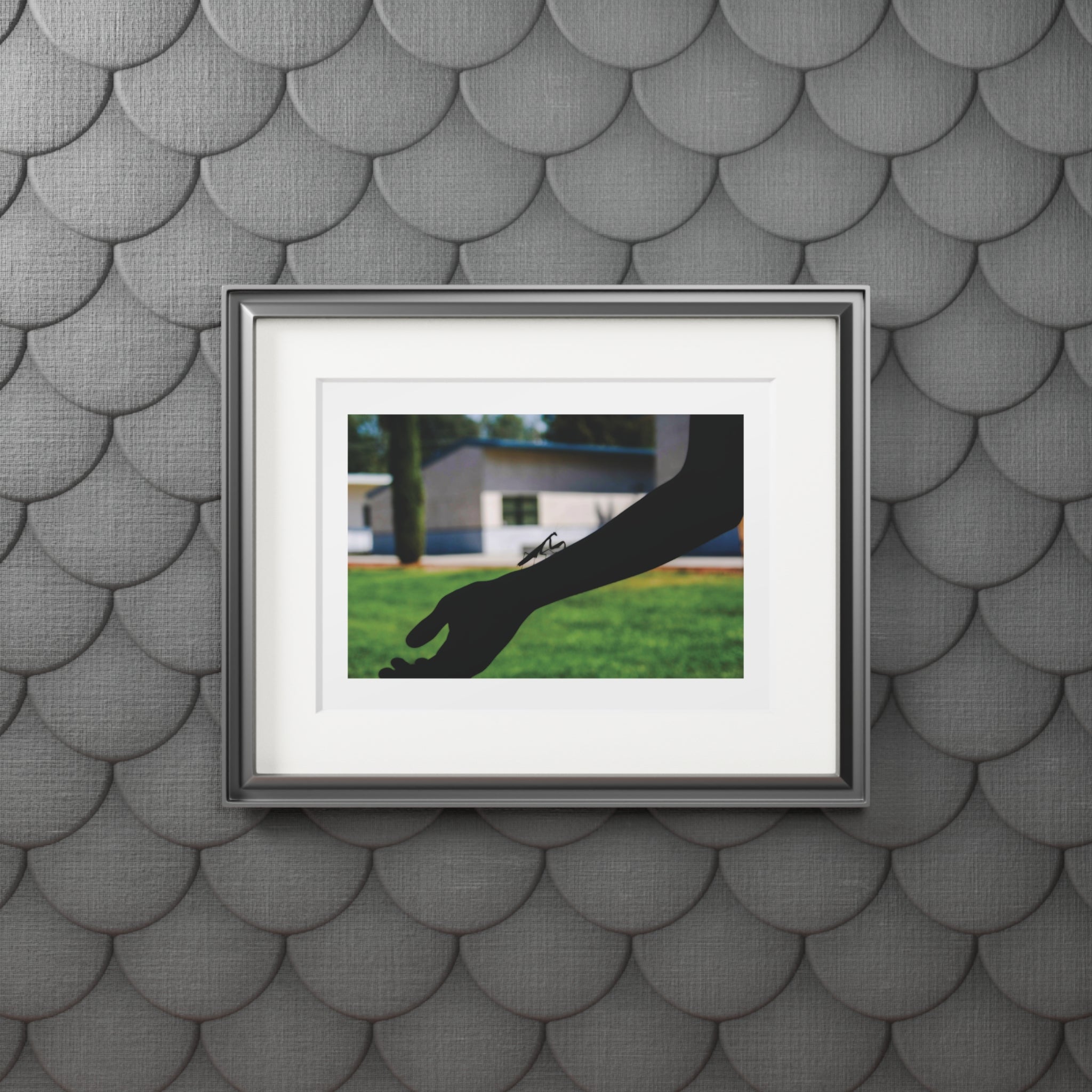 Prints, Praying Mantis Silhouette Bright Photo Outside, Wall Art Decor, Nature Photography, Insect Lover Gift, Unique Home Decor