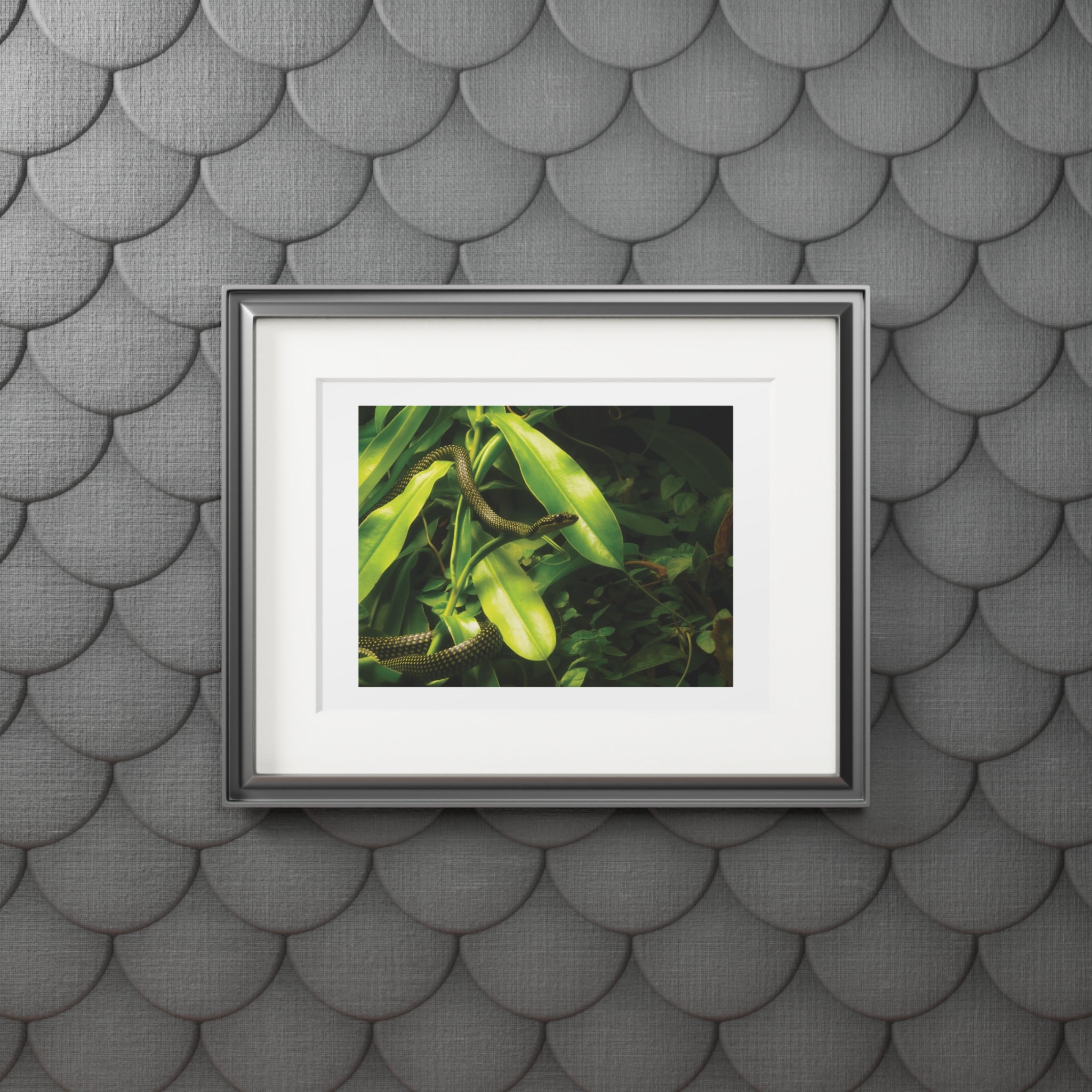 Green snake photography print, framed wall art