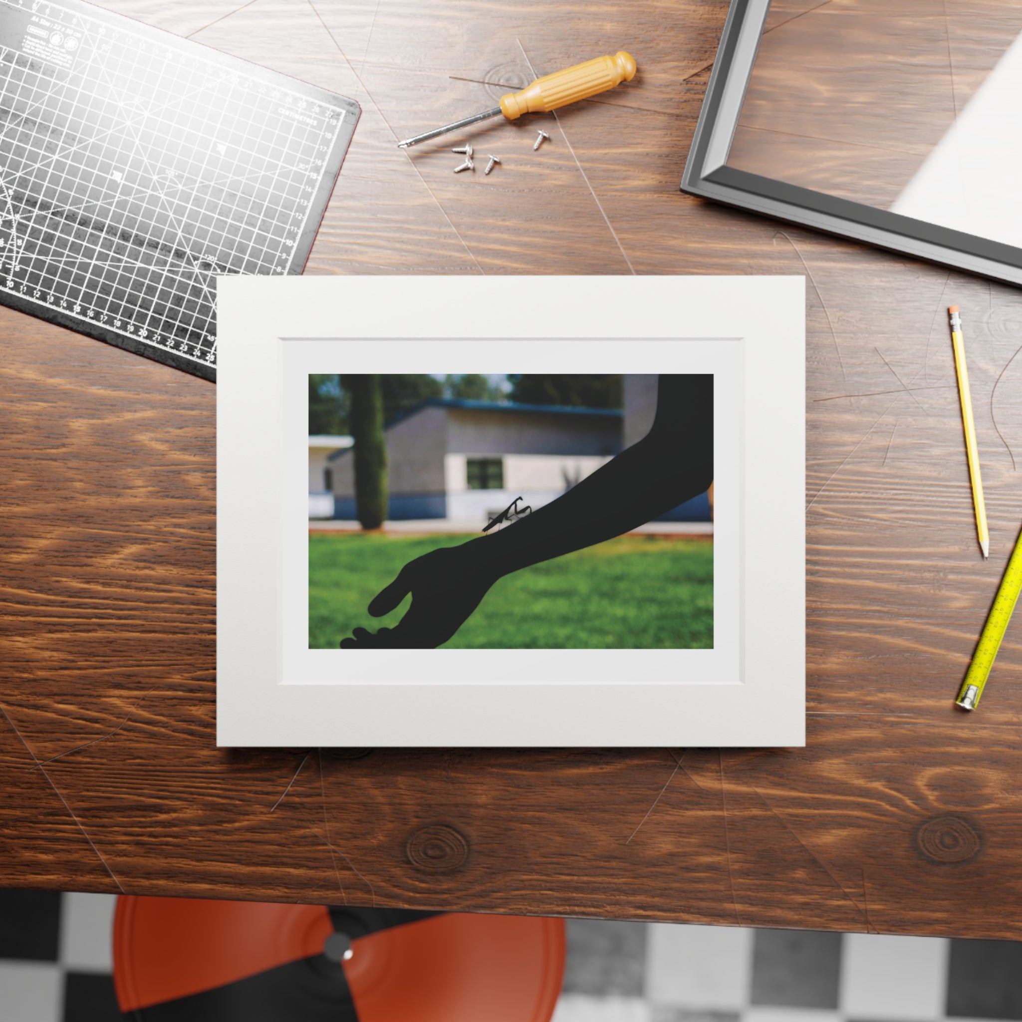 Prints, Praying Mantis Silhouette Bright Photo Outside, Wall Art Decor, Nature Photography, Insect Lover Gift, Unique Home Decor