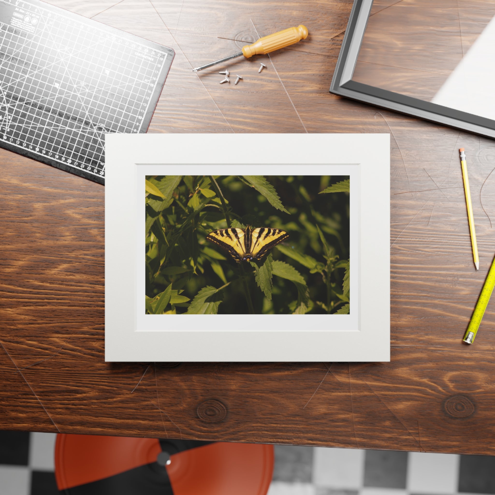 Fine Art Prints, Butterfly Photo Wall Decor, Nature Photography Print, Home Office Decor, Gift for Her, Office Wall Art